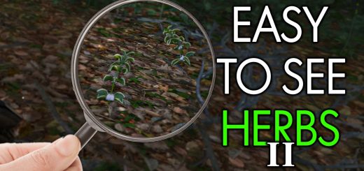 Easy To See Herbs II v2.0